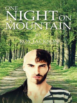 cover image of One Night On a Mountain